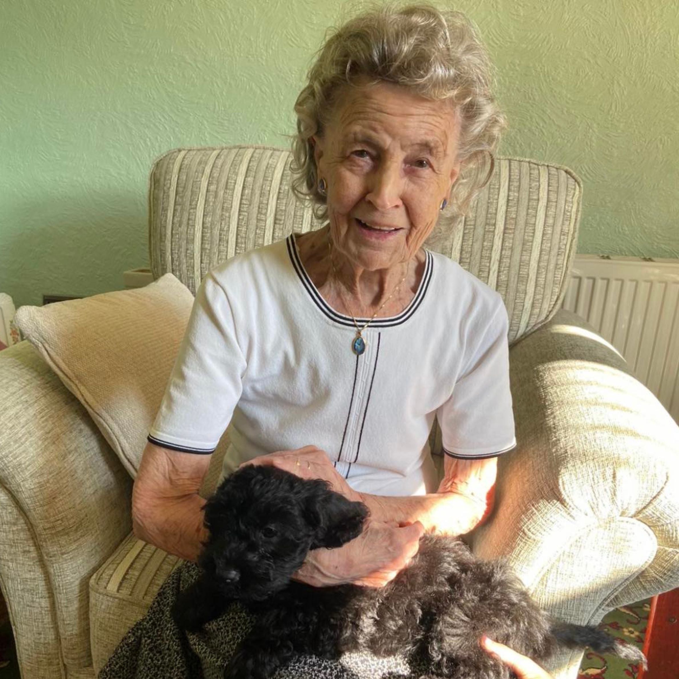 an older woman with short grey hair wearing a light grey top sitting on a light brown striped chair in front of a green wall. she is holding a small black puppy on her lap