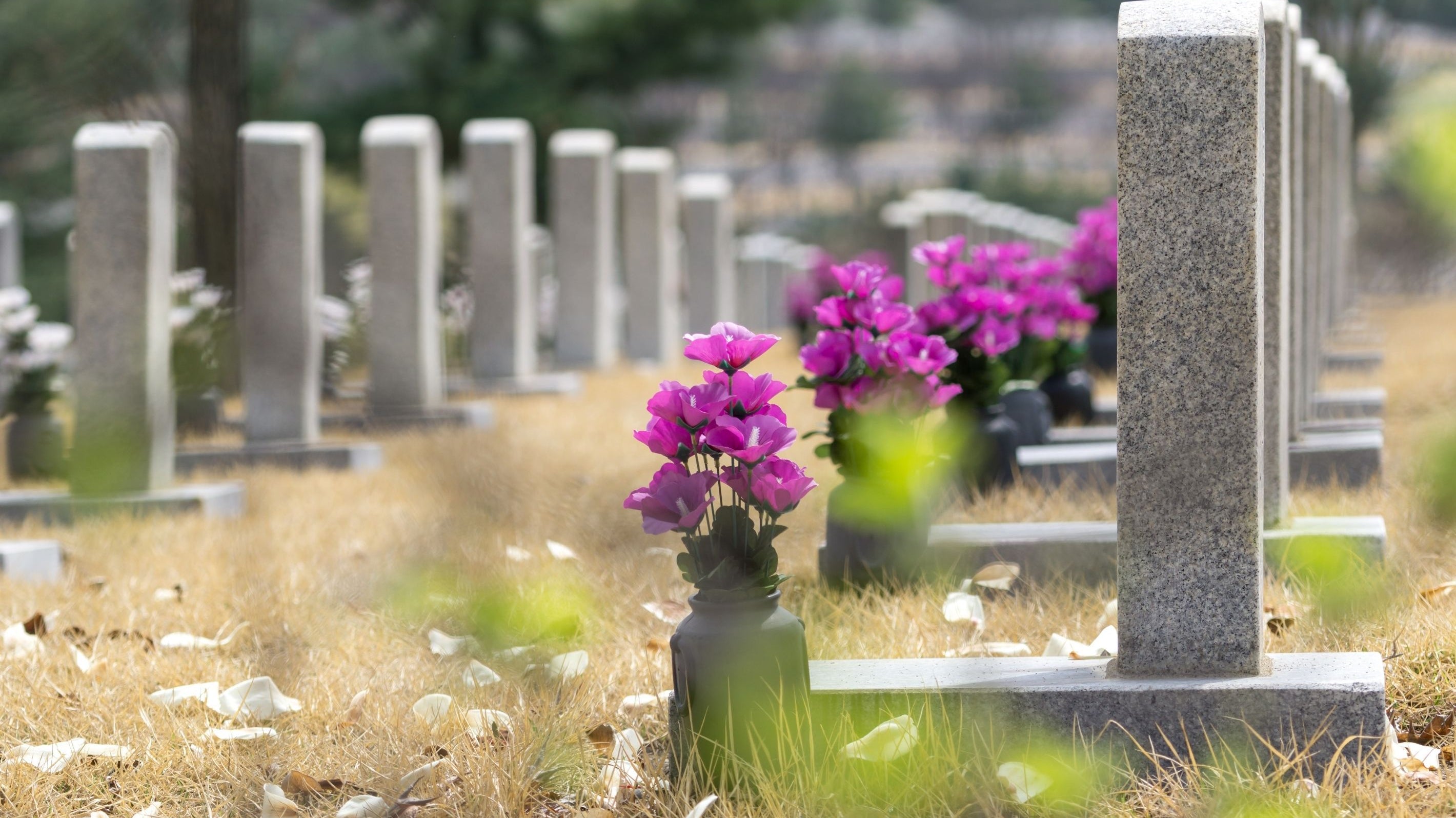 Helping a Loved One Deal with Grief at Christmas