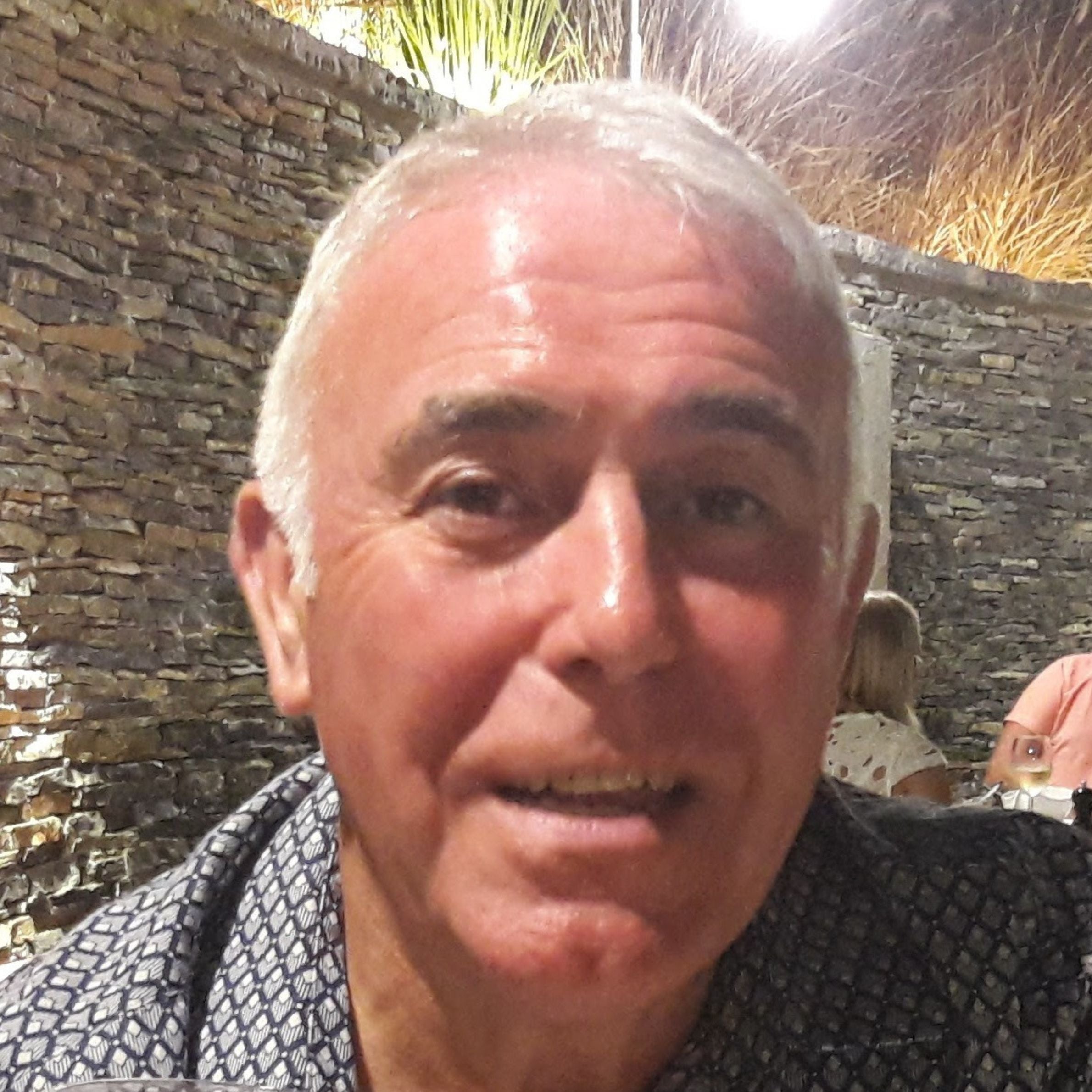 man with short grey hair, he is wearing an grey pattered shirt. there is a grey bricked wall in the background with some bushes above it