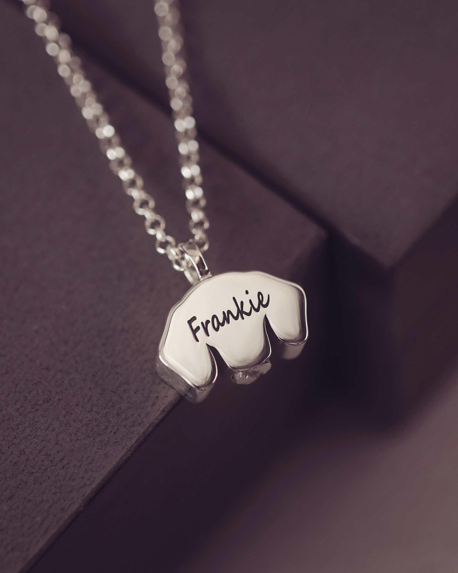 Silver necklace with a dog-shaped pendant engraved with 'Frankie' on a dark purple background