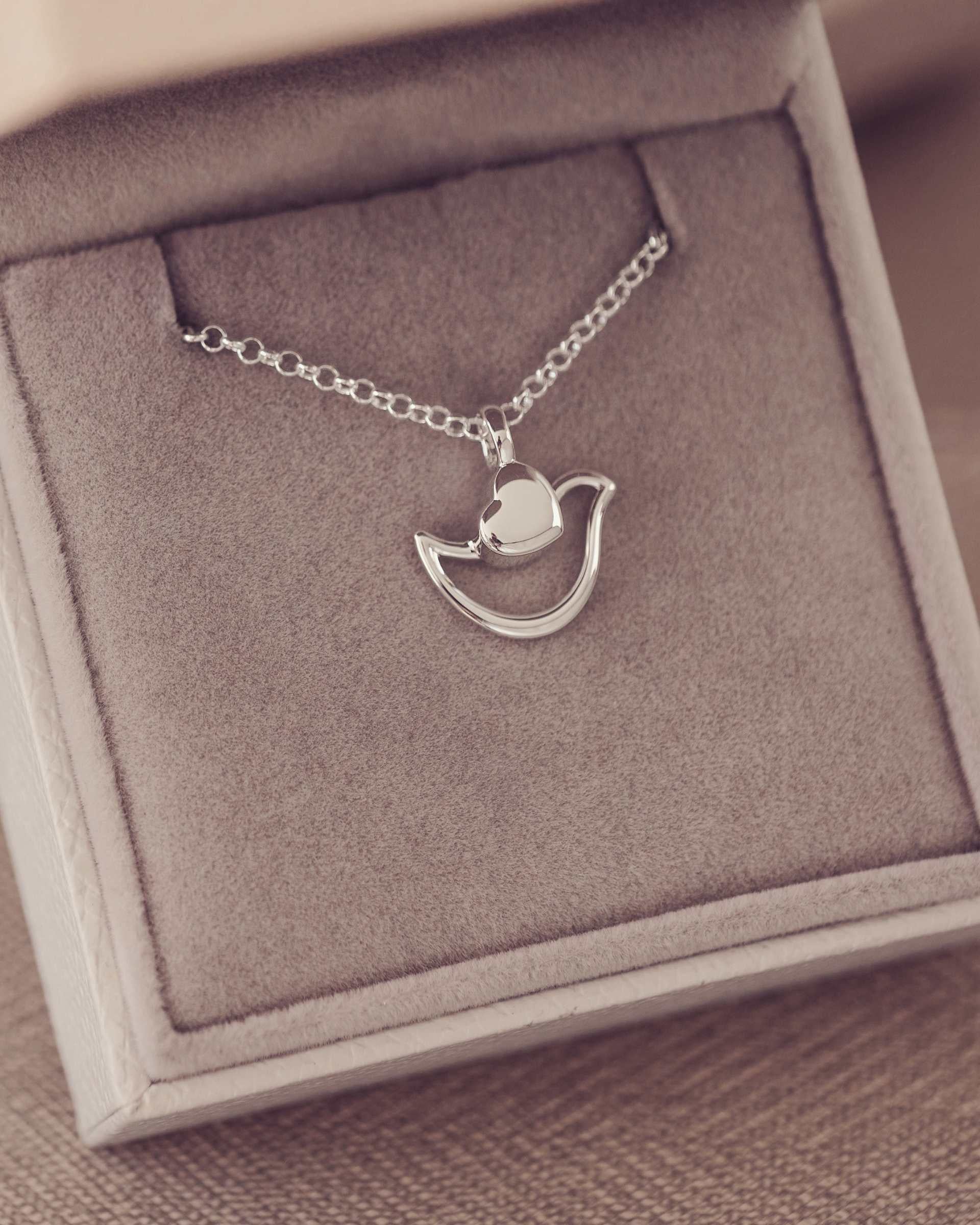 Silver necklace in the shape of a dobe with heart-shaped wings in ja jewellery box