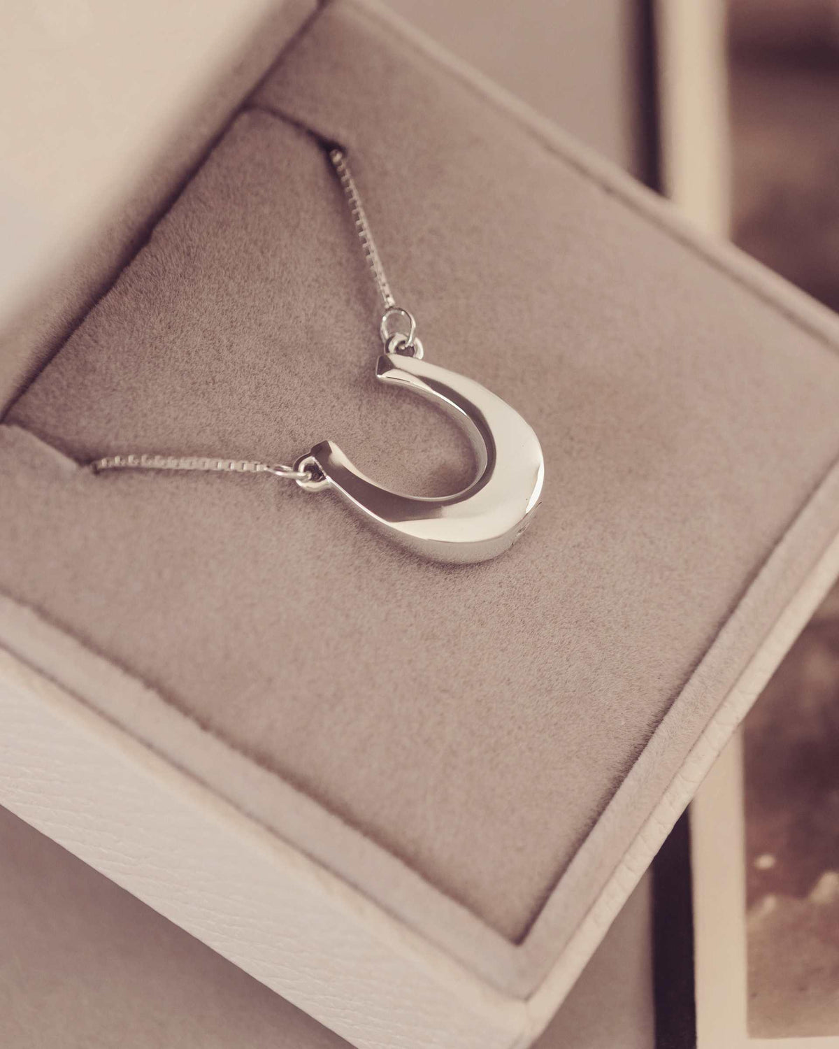 Silver horseshoe necklace in a jewellery box