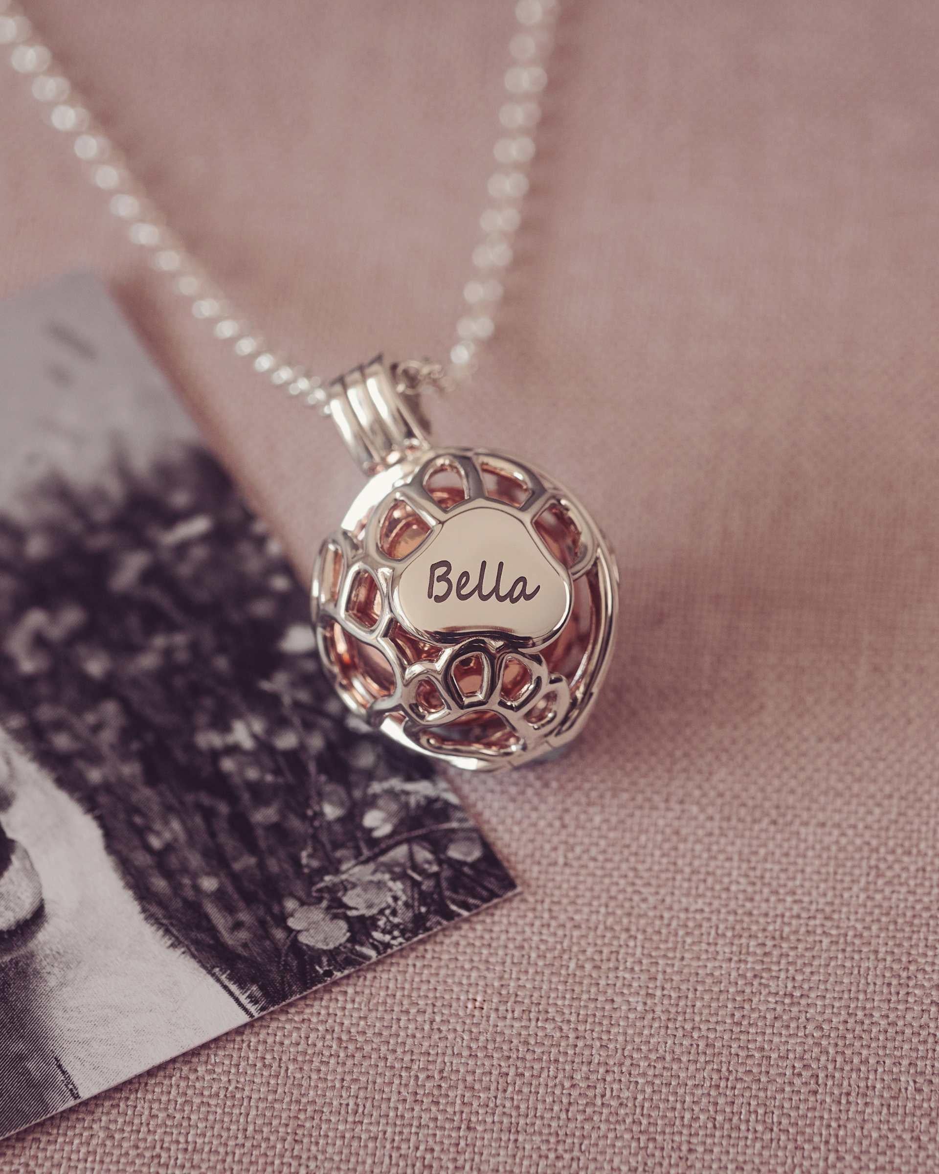 Silver necklace with a paw detail on a textured surface with a black and white photograph