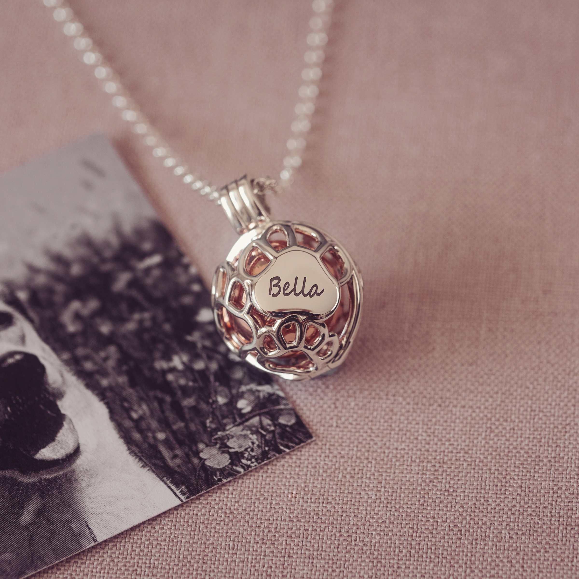 Silver necklace with a paw detail on a textured surface with a black and white photograph