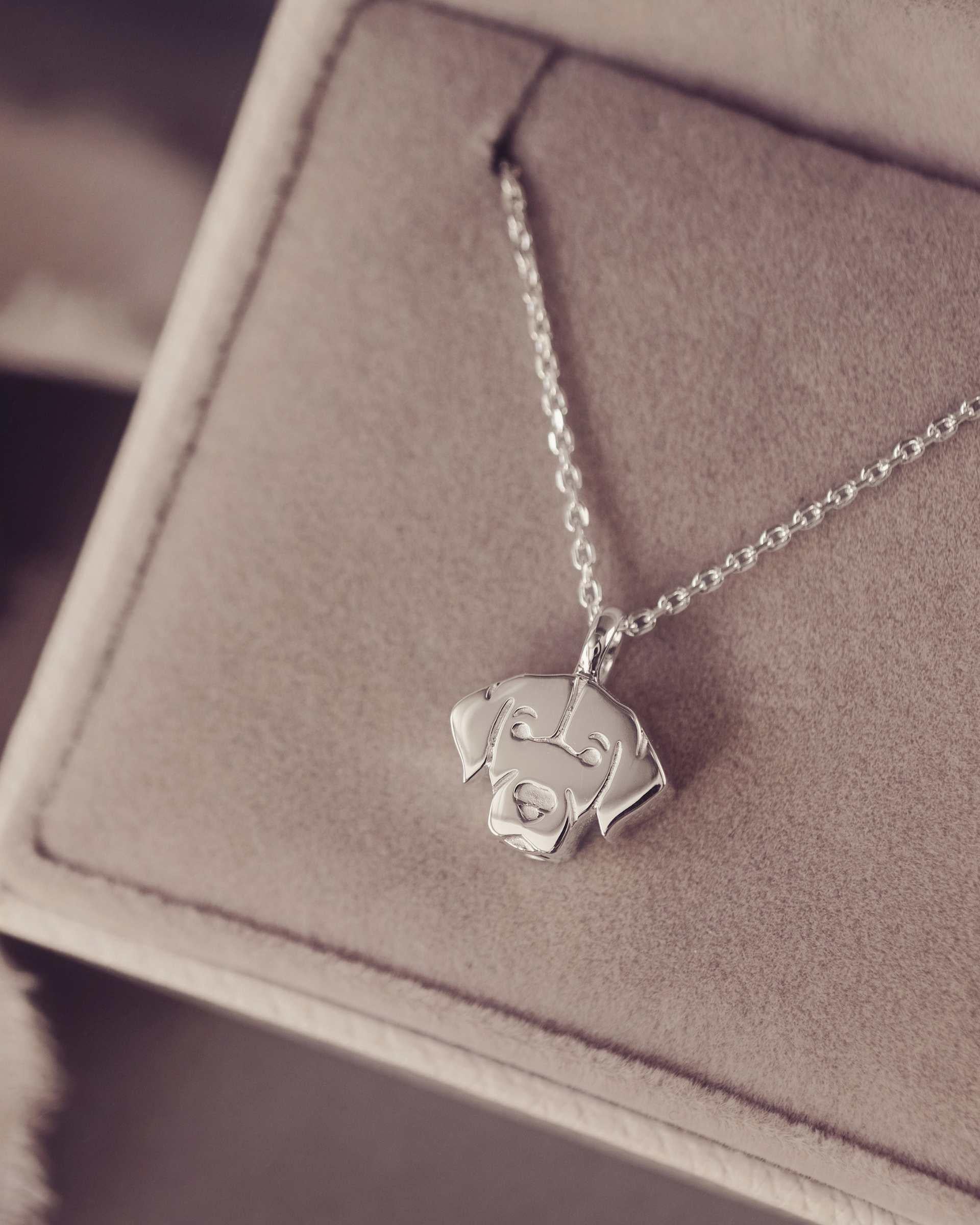 Silver necklace with a labrador dog pendant in a jewellery box