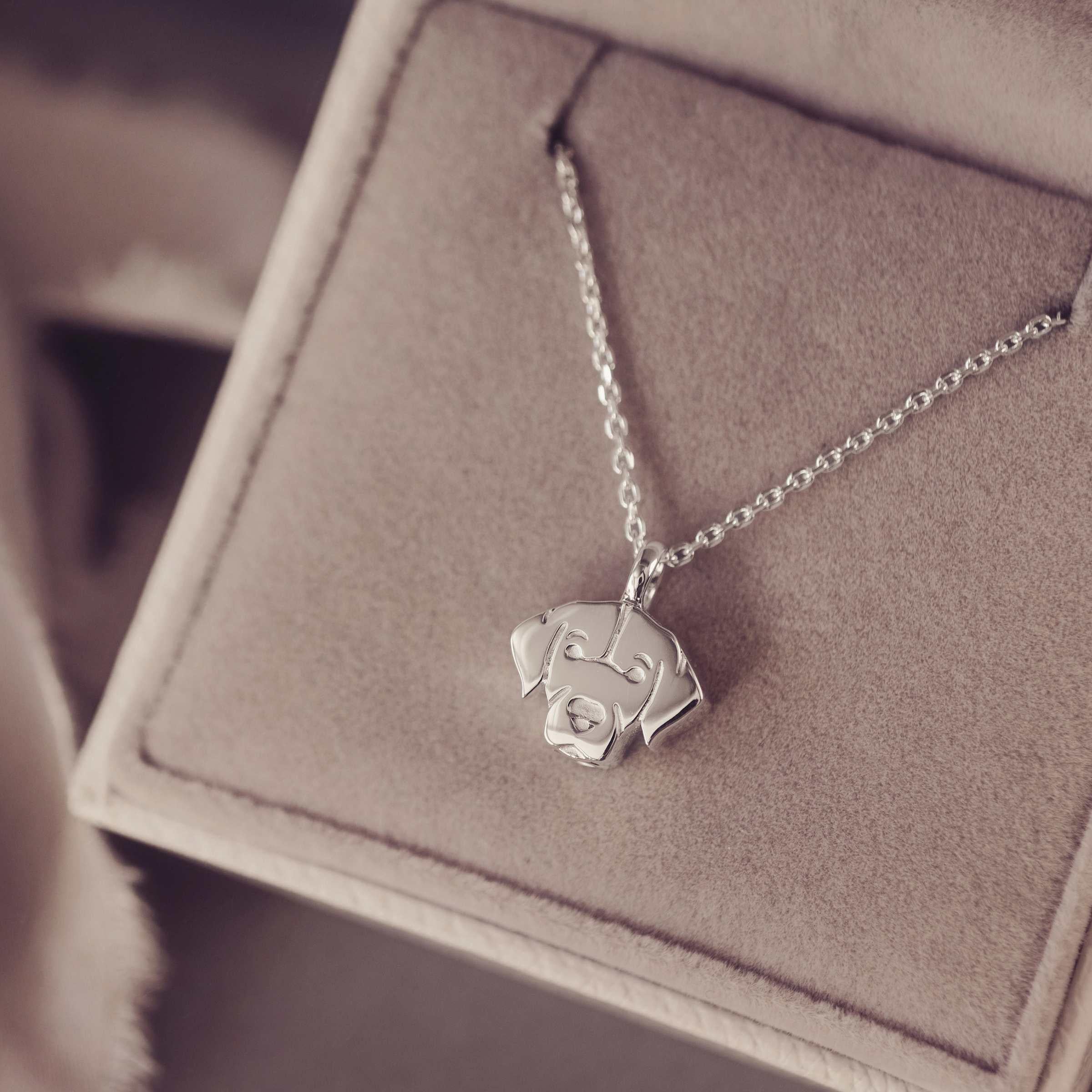 Silver necklace with a labrador dog pendant in a jewellery box