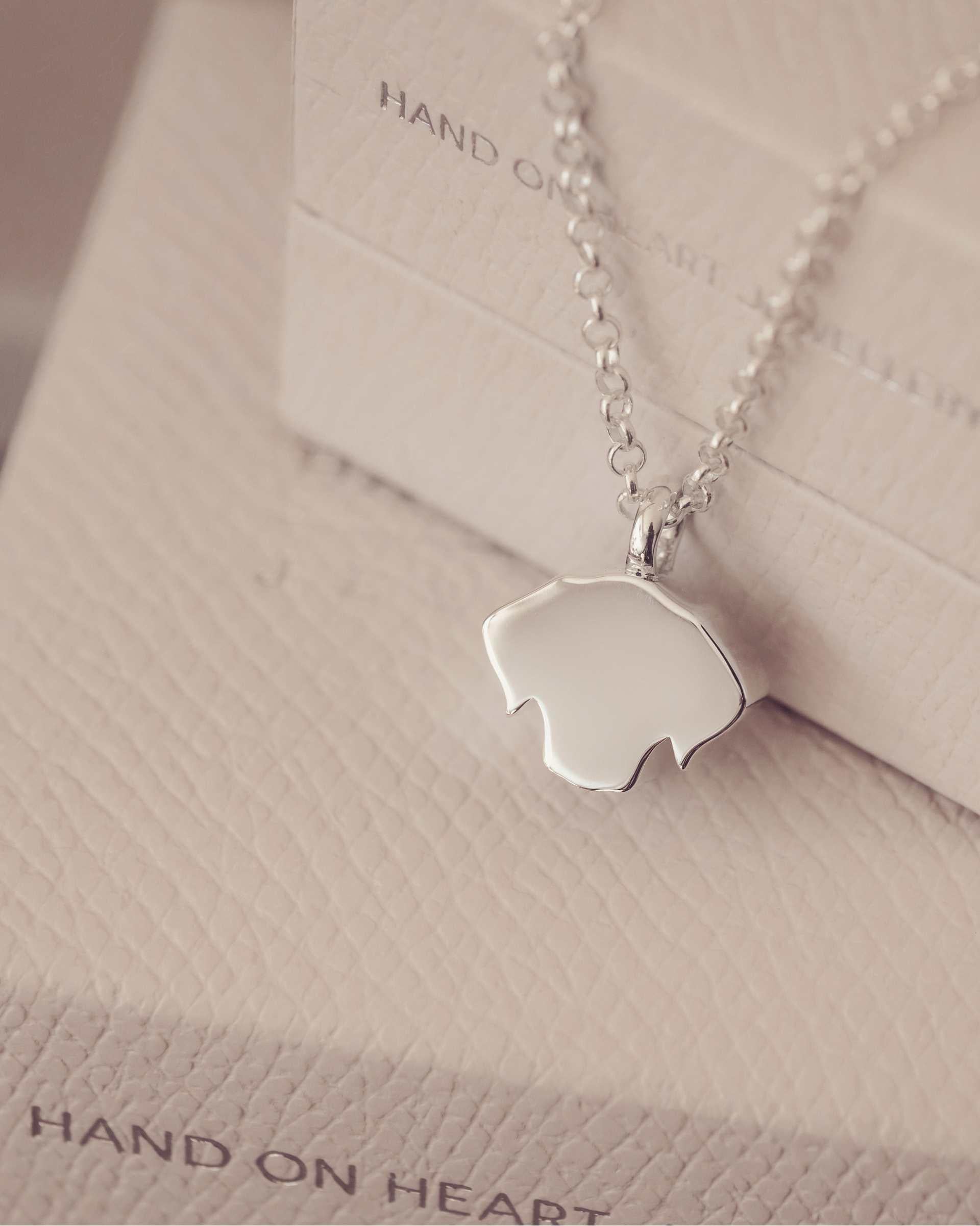 Silver necklace with back of dog-shaped pendant on a textured jewellery box.