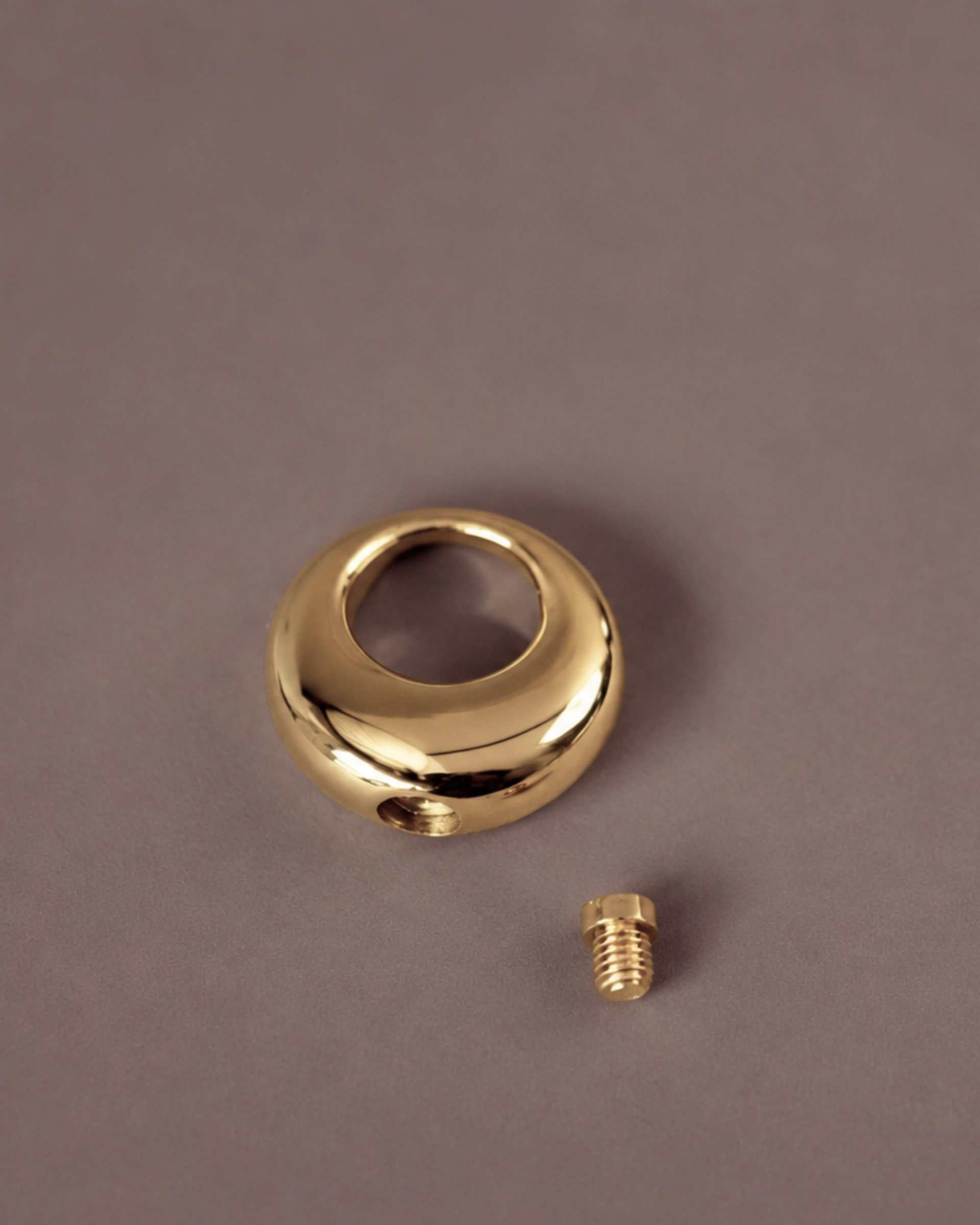 Gold circular metal fitting with a screw on a brown background