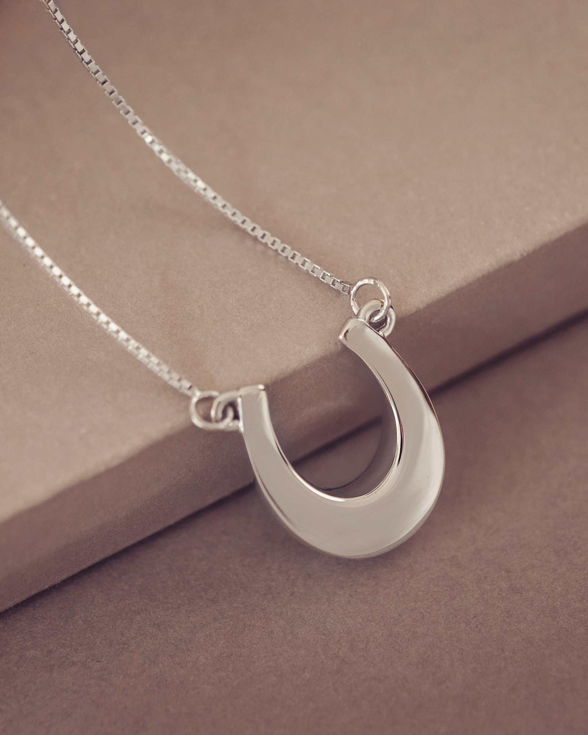Silver necklace with a horseshoe pendant on a brown surface