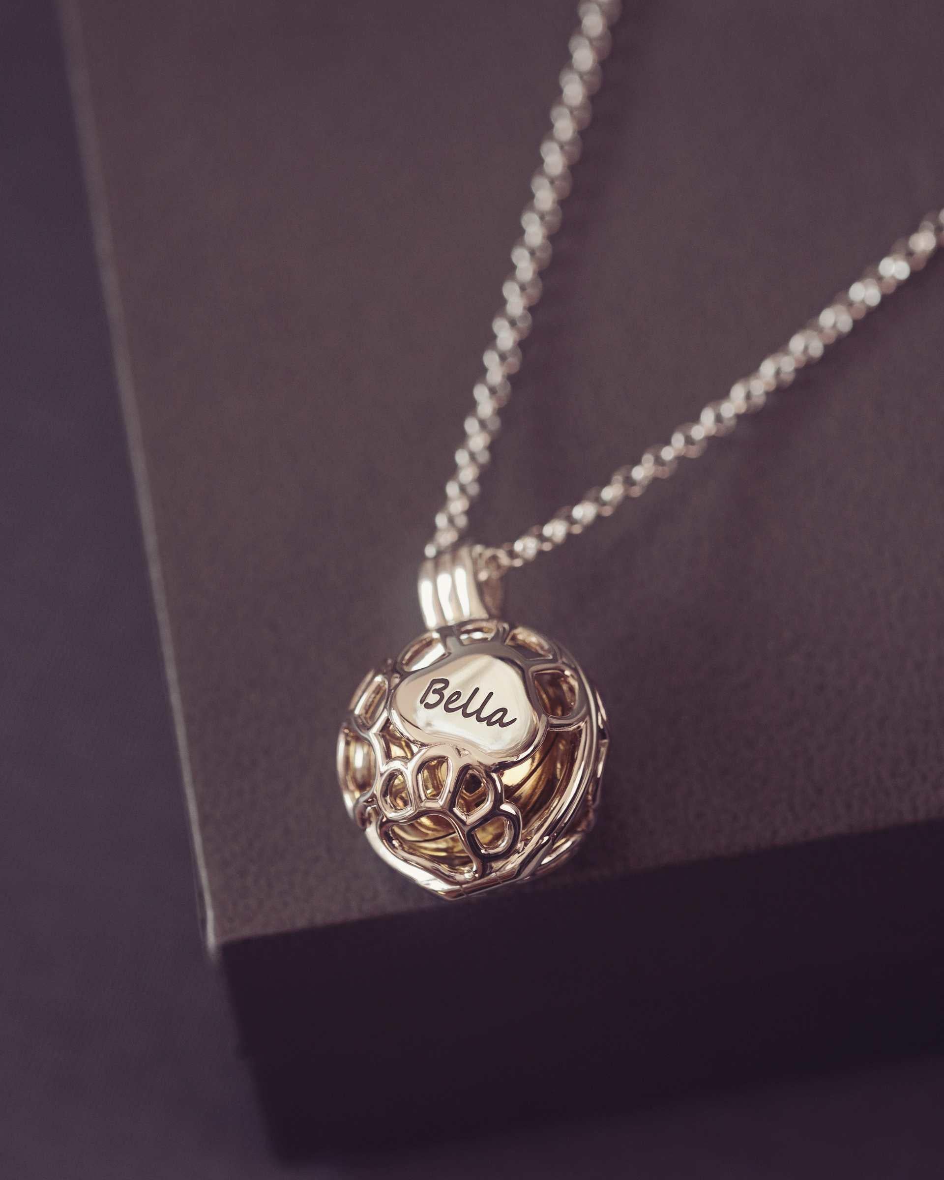 Silver necklace with a paw locket pendant on a dark purple background