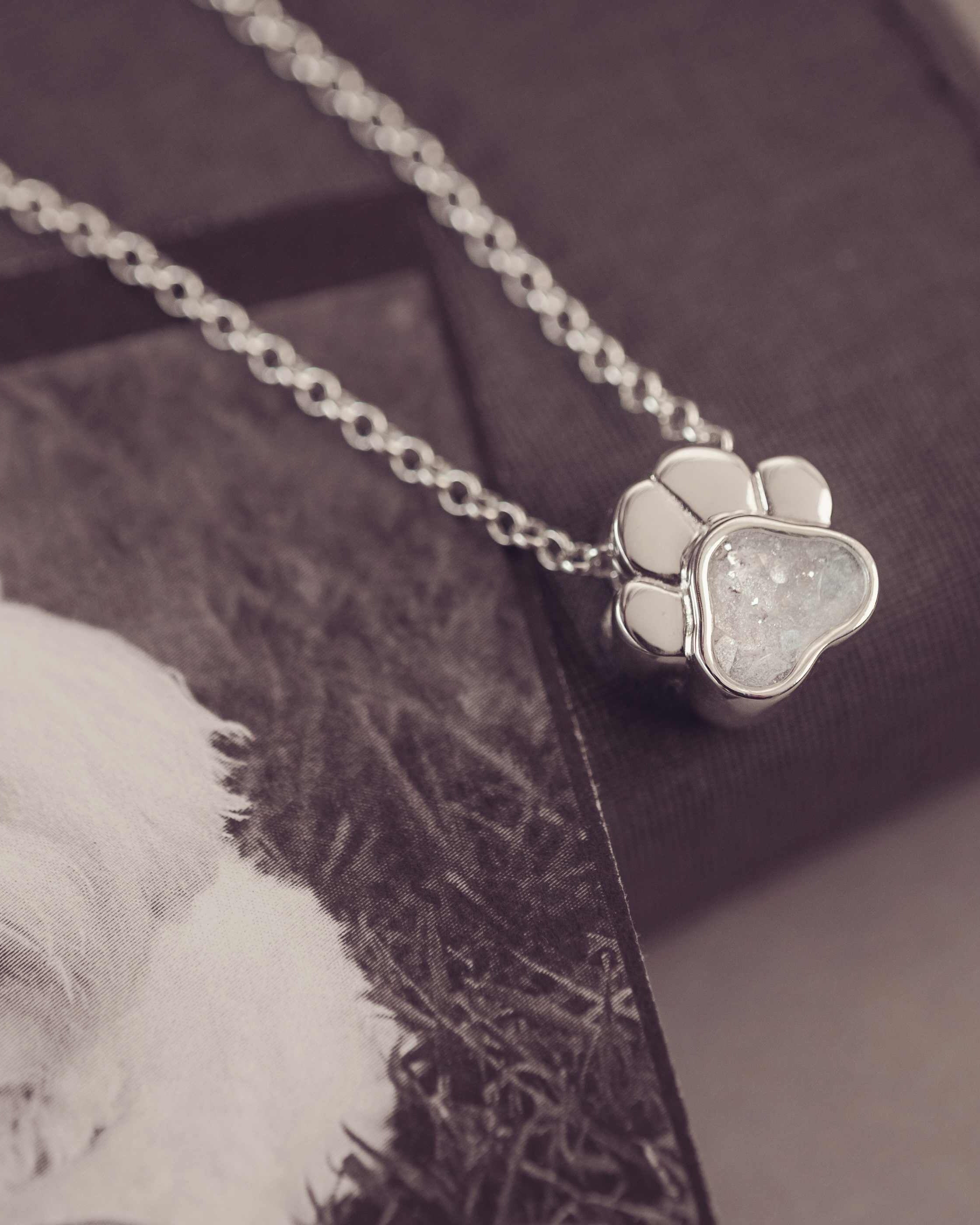 Necklace with a paw-shaped pendant on a blurred background of a dog.