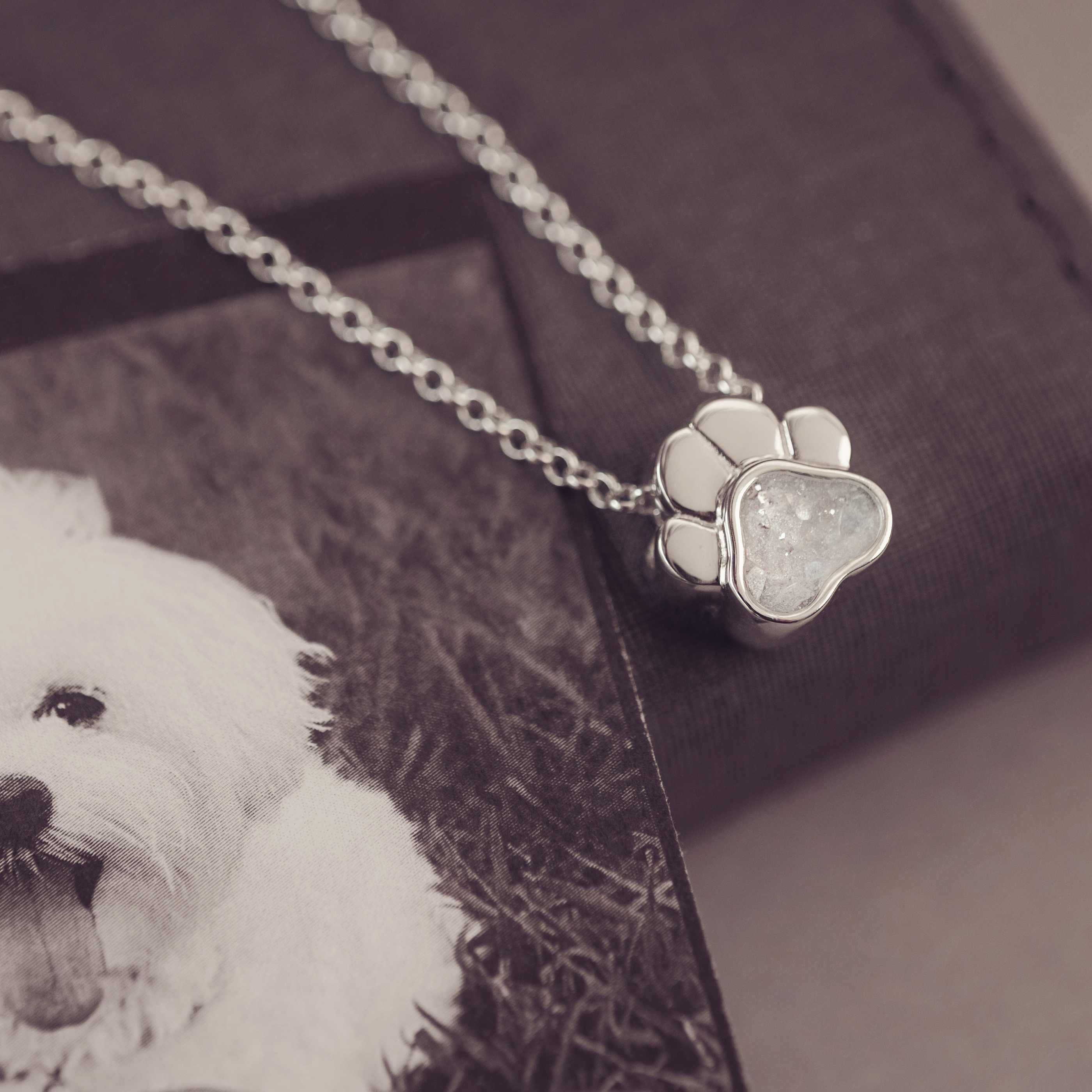 Necklace with a paw-shaped pendant on a blurred background of a dog.