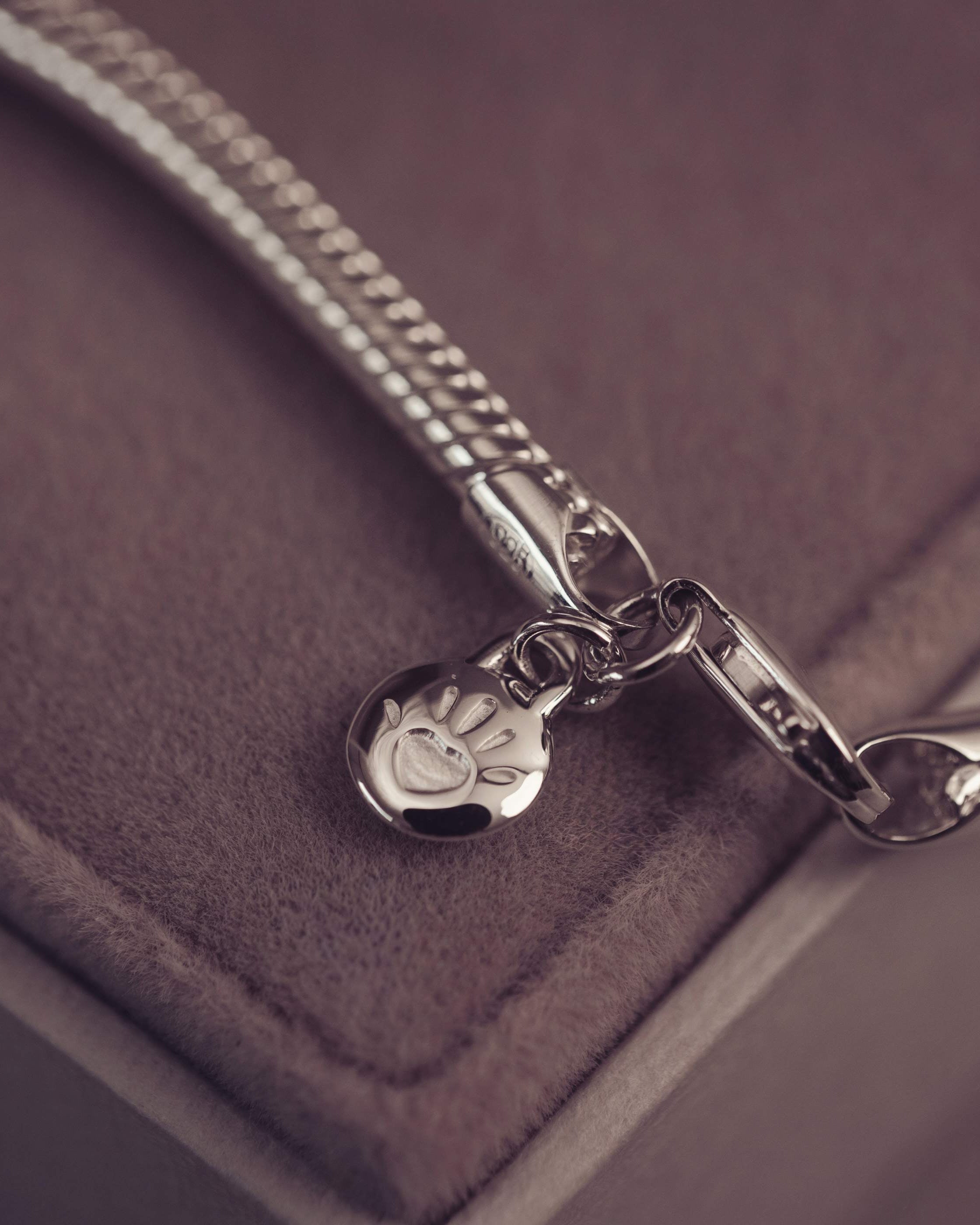 Silver chain necklace with paw print charm on a soft purple surface