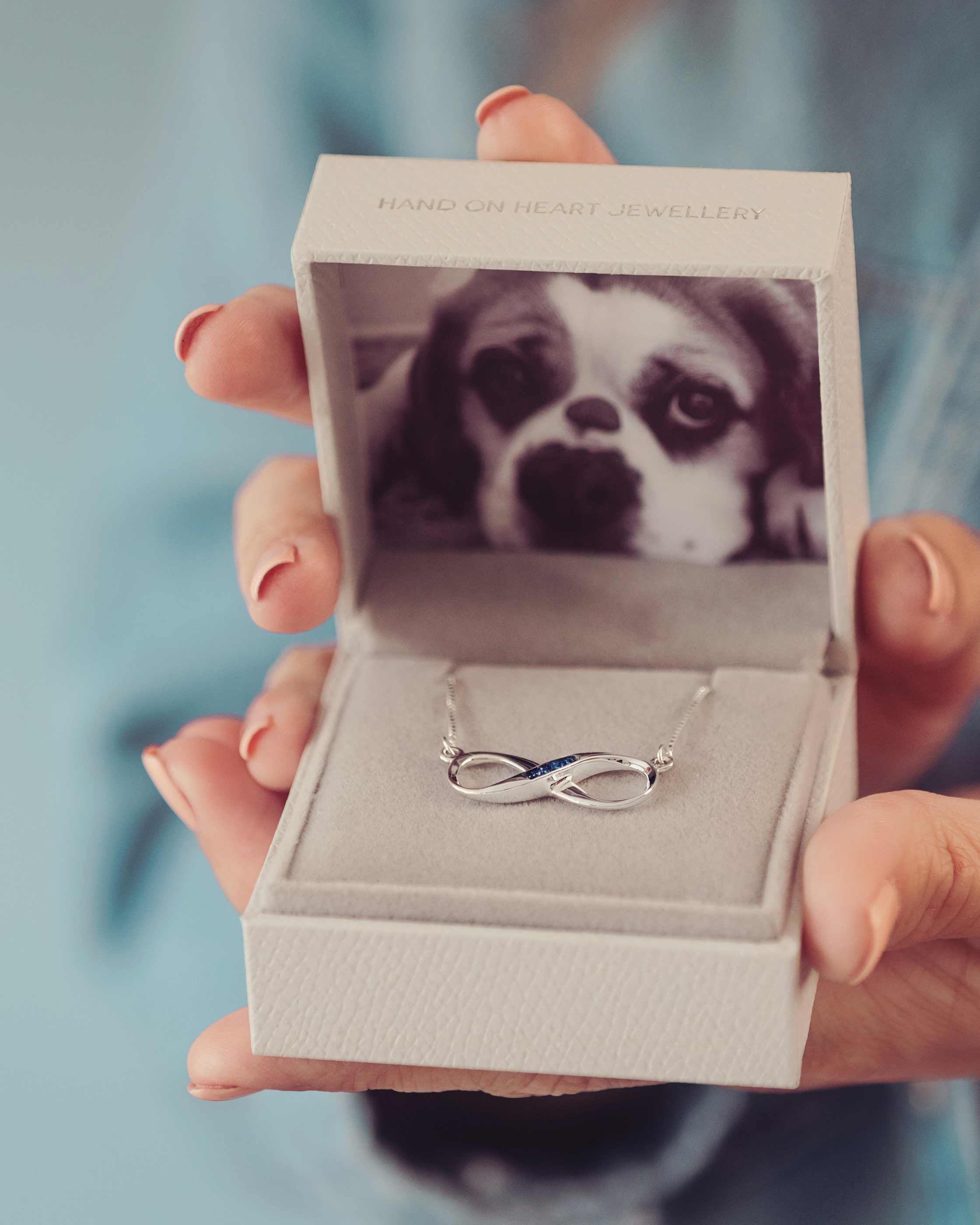 image of a lady's hands holding a light grey jewellery box. Inside is a silver cremation ashes necklace and a photograph of a dog.