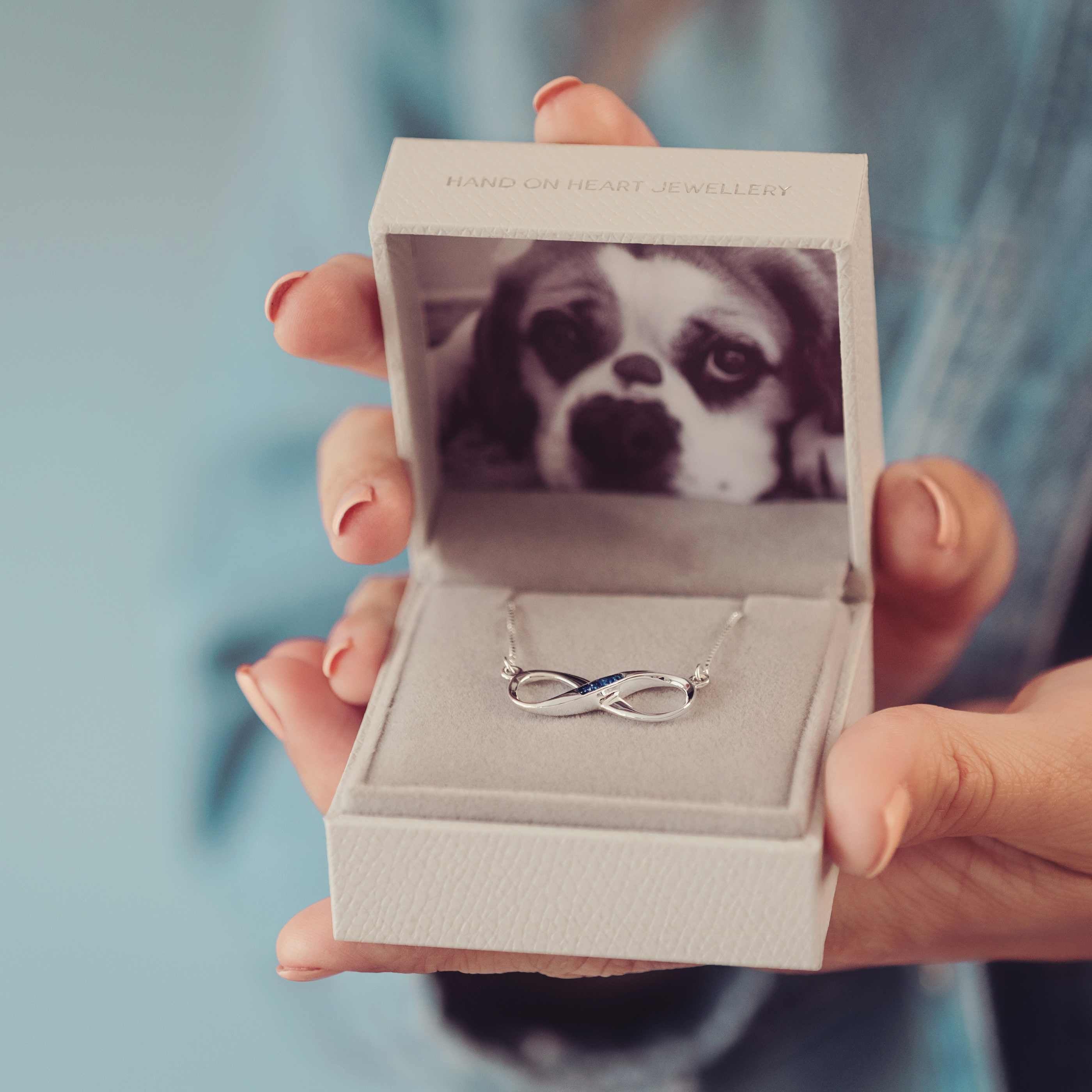 image of a lady's hands holding a light grey jewellery box. Inside is a silver cremation ashes necklace and a photograph of a dog.