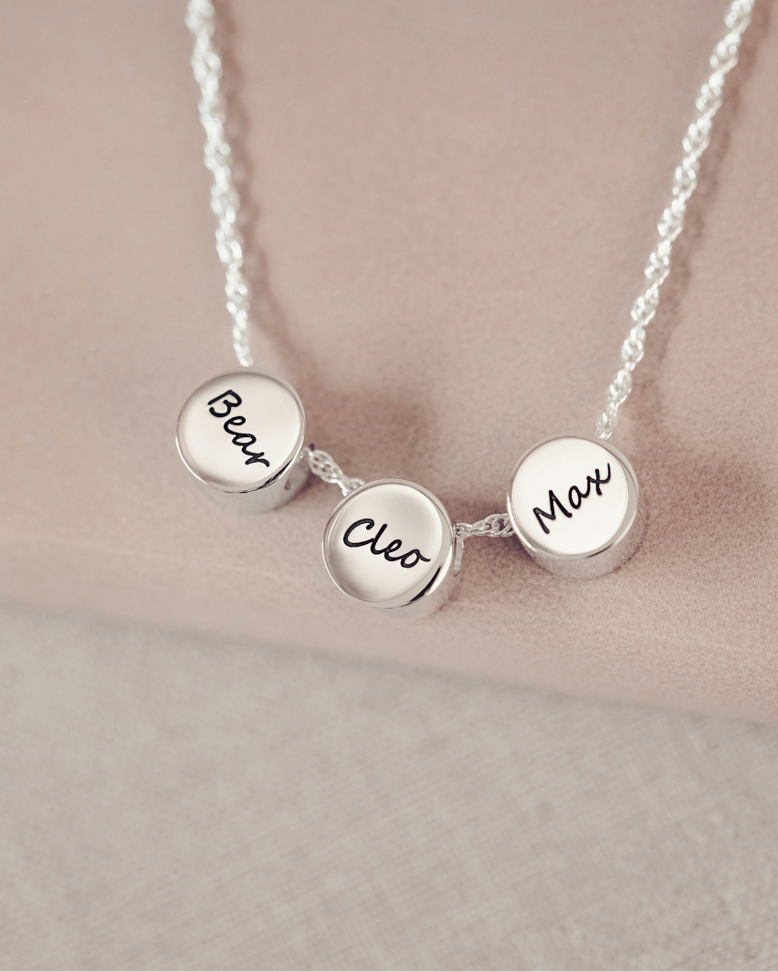 Family Necklace, Three Pawprint Charms