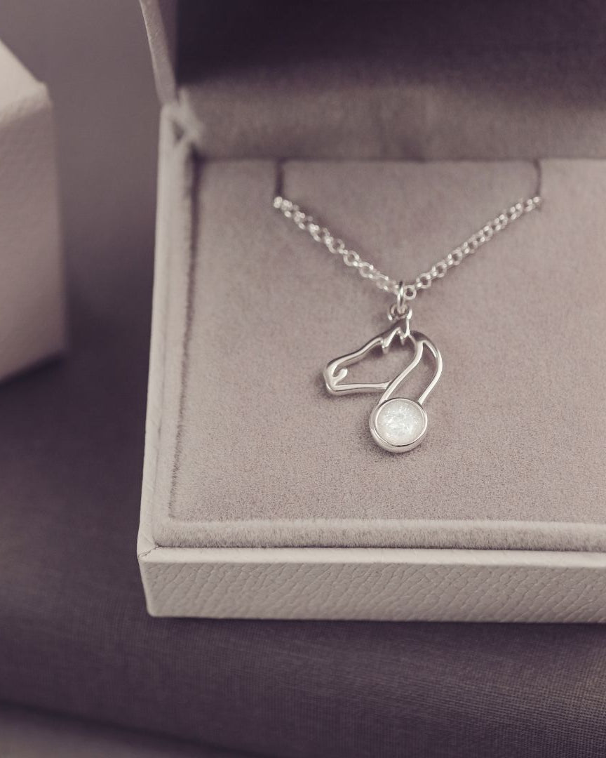 Silver necklace with a pendant in an open jewelry box