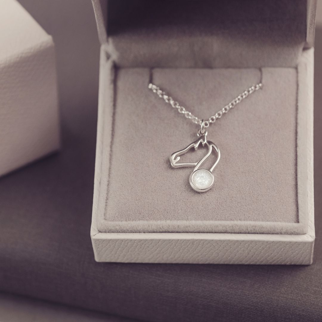 Silver necklace with a pendant in an open jewelry box
