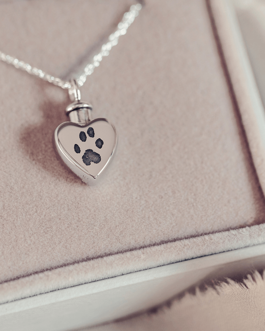 Pawprint Ashes Locket