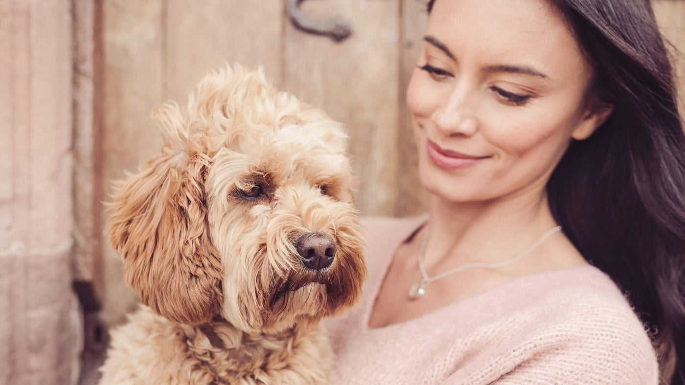 Top Tips for First Time Pet Owners