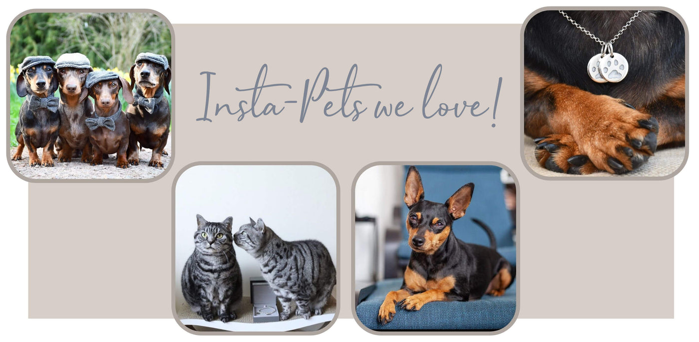 Insta-Pets We Love!