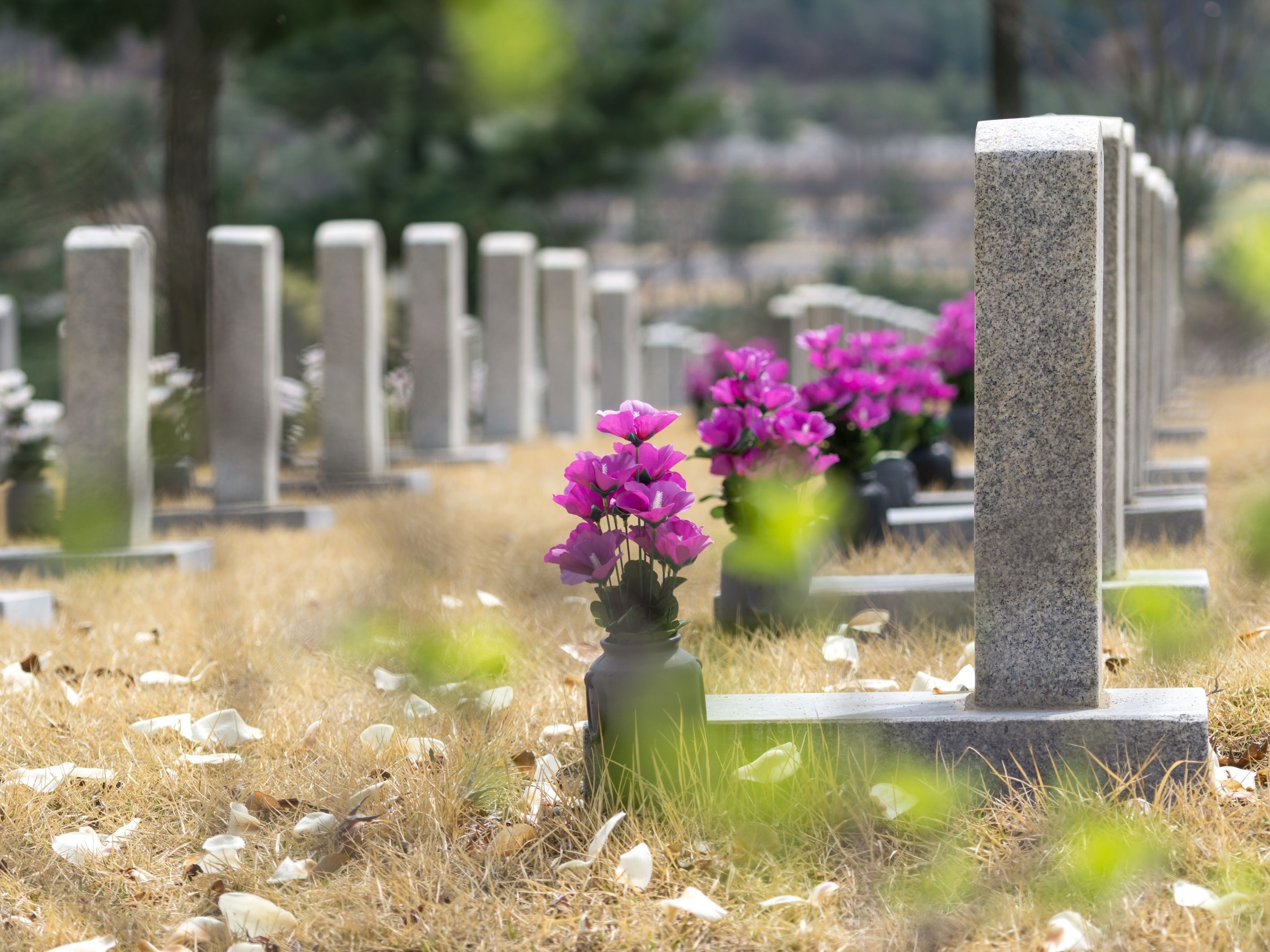 Helping a Loved One Deal with Grief at Christmas