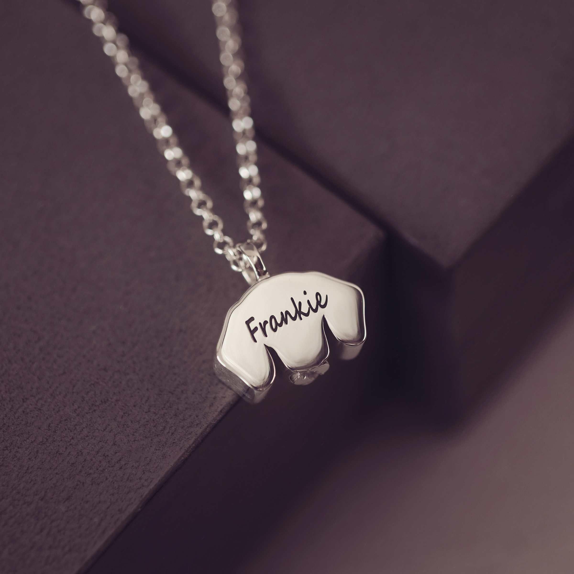 Silver necklace with a dog-shaped pendant engraved with 'Frankie' on a dark purple background