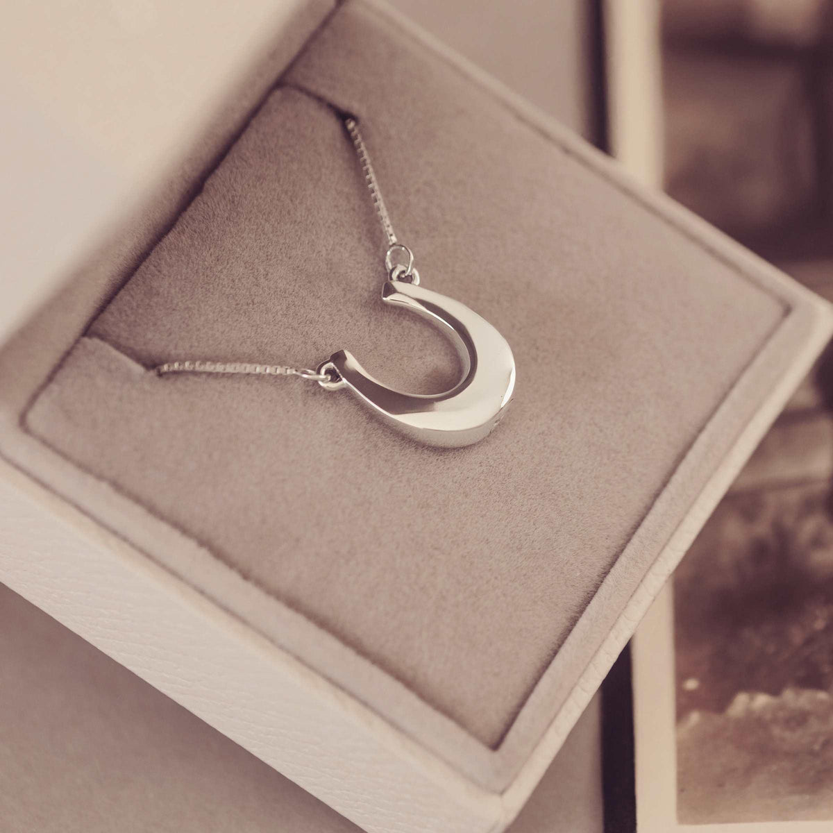 Silver horseshoe necklace in a jewellery box