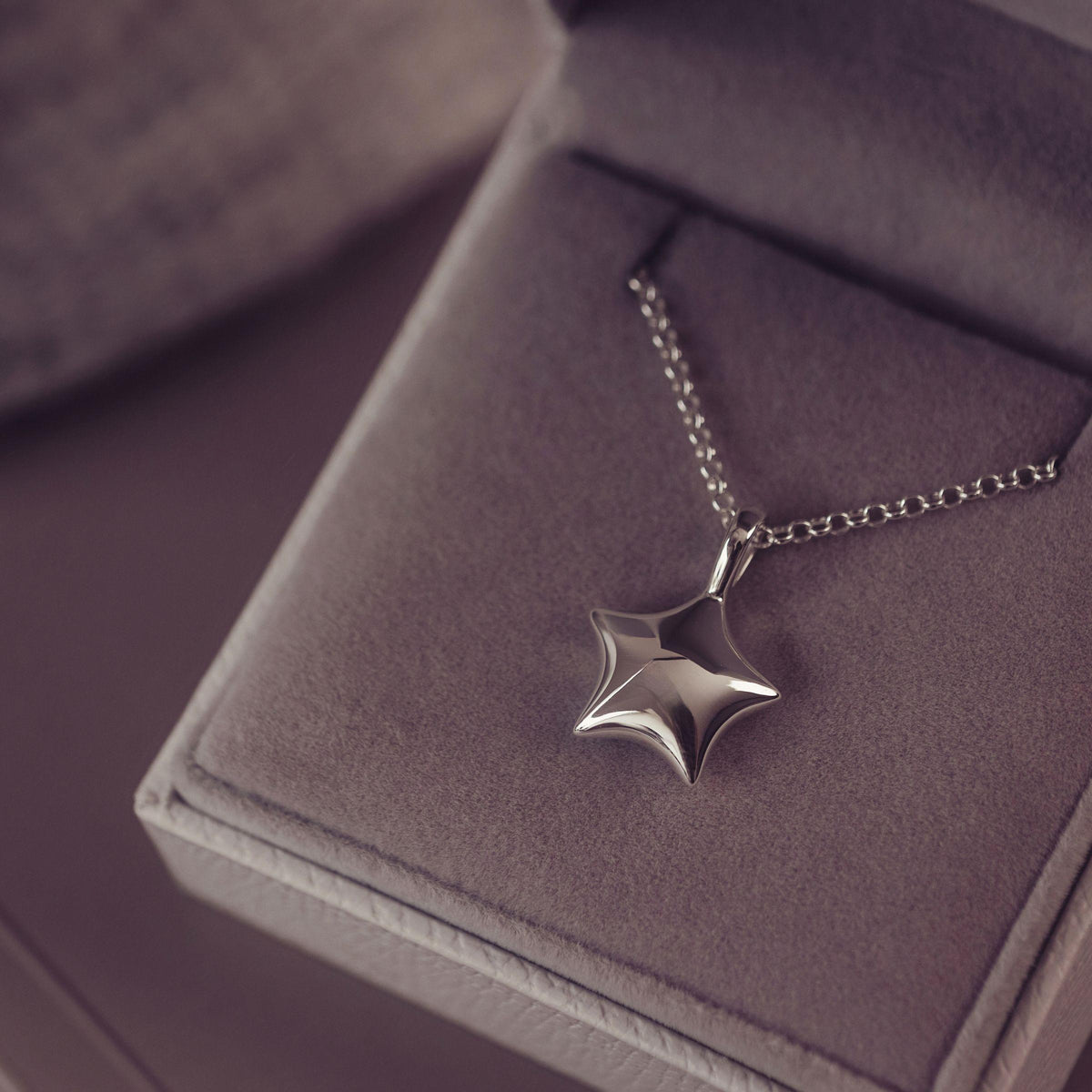 Cremation Ashes Star Urn Locket - Hand on Heart Jewellery