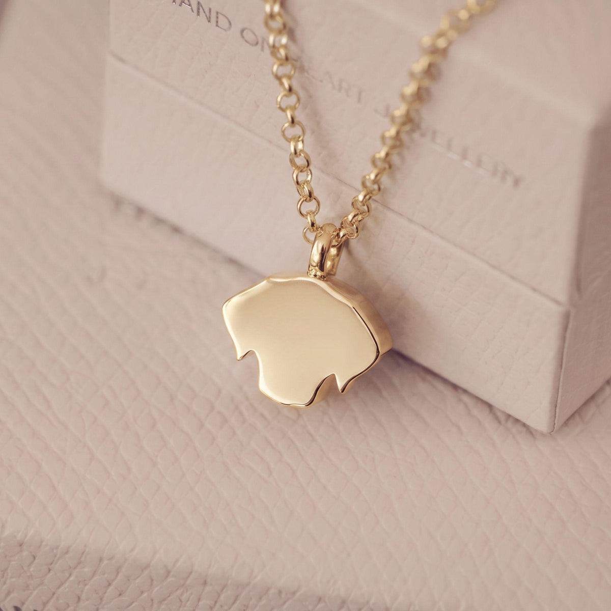 A gold pendant necklace with a polished, minimalist labrador-shaped charm on a delicate gold chain, displayed on a textured light pink surface next to a branded jewelry box.