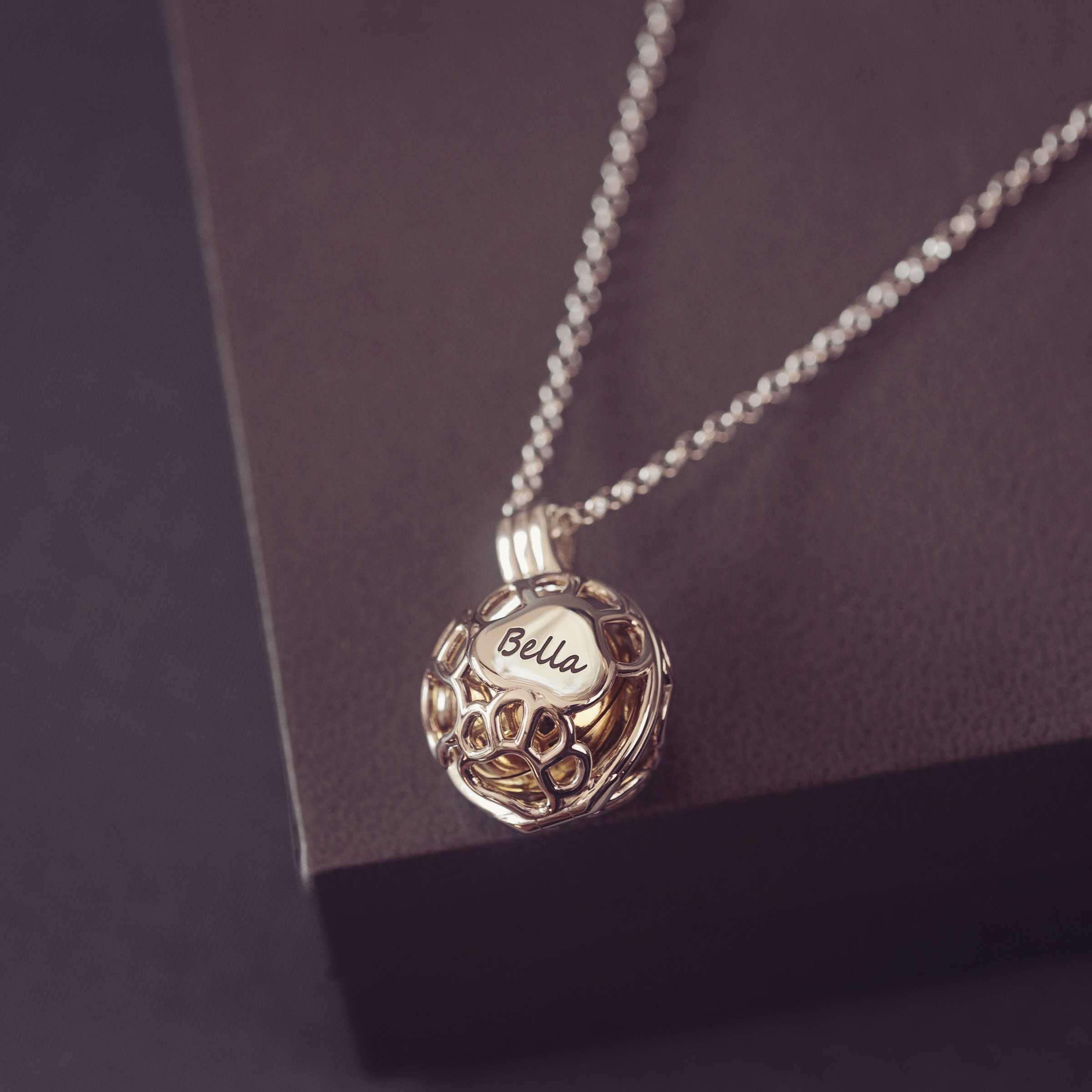 Silver necklace with a paw locket pendant on a dark purple background