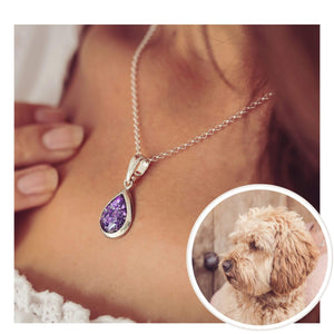 Pet's ashes necklace