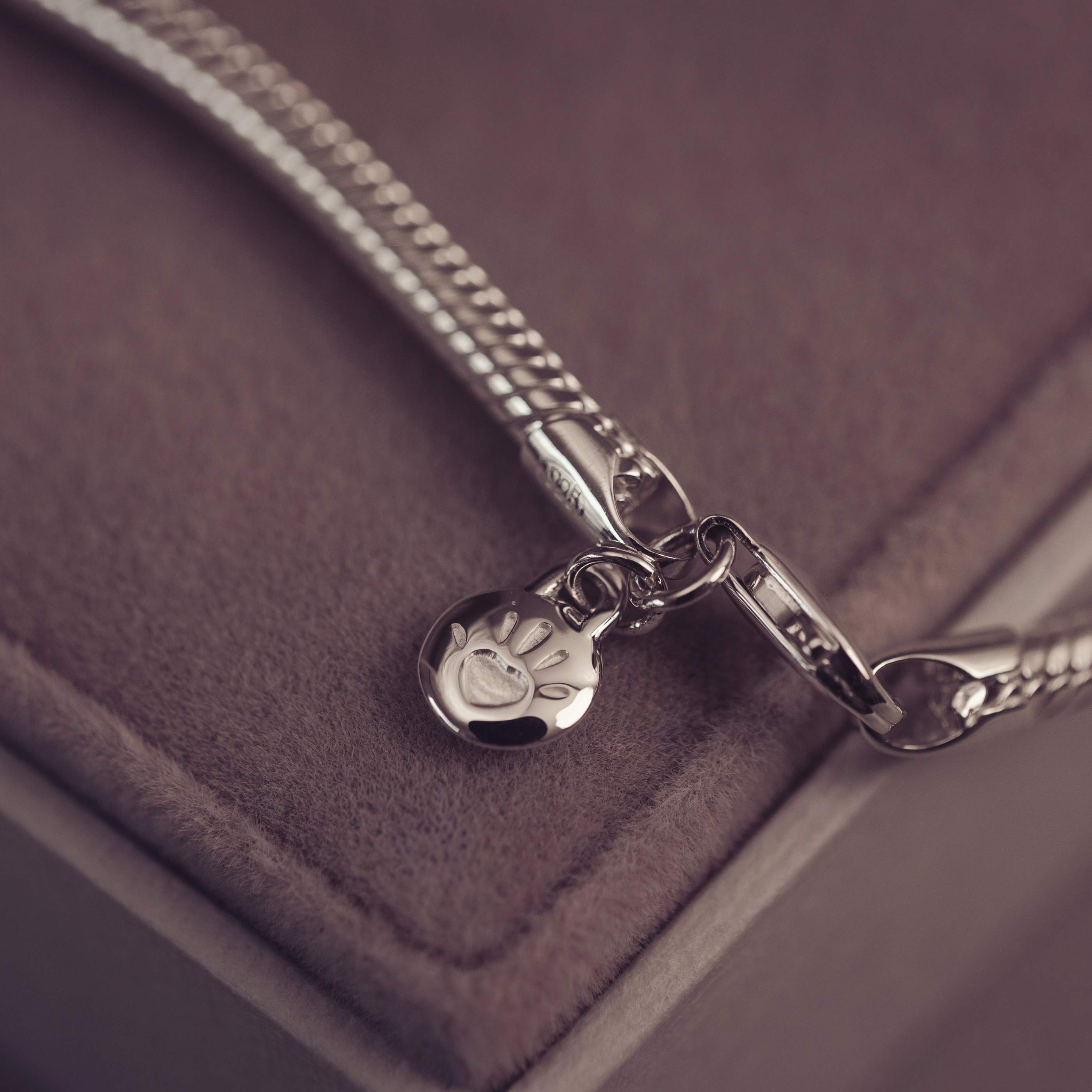 Silver chain necklace with paw print charm on a soft purple surface