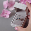 Sliver ashes double round ring with blue crystals in a grey jewellery box held in a women's hand
